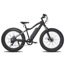 Factory Price 7 Speed MTB Electric Bicycle